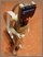 [thumbnail of 16 - Upload ton âme - maquette.jpg]