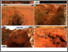 [thumbnail of Figure-3.pdf]