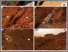 [thumbnail of Figure-5.pdf]