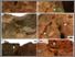 [thumbnail of Figure-6.pdf]