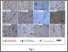 [thumbnail of Figure-8.pdf]